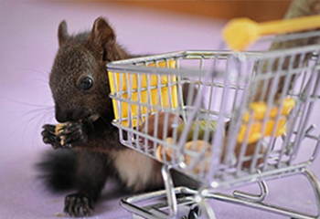 実店舗は今後どうなる？